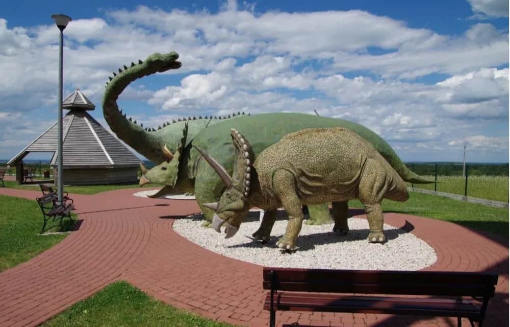 Najciekawsze atrakcje w Dębicy, które musisz zobaczyć