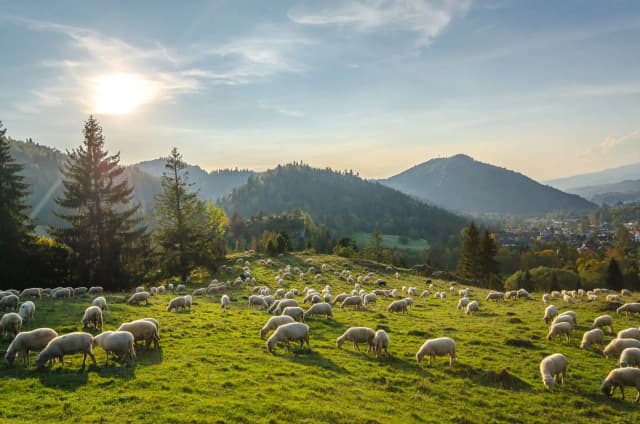 Pieniny gdzie nocleg - najlepsze opcje na udany wypoczynek